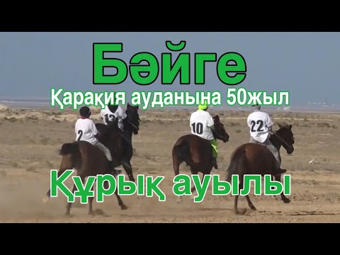 Видео: Бәйге 13.10.2023 Құрық ауылы