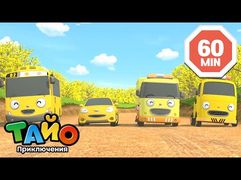 Видео: Коллекция мультфильмов l Желтые машины l Приключения Тайо