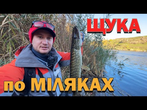 Видео: Осінь час спінінгу Рибалка на щуку і окуня