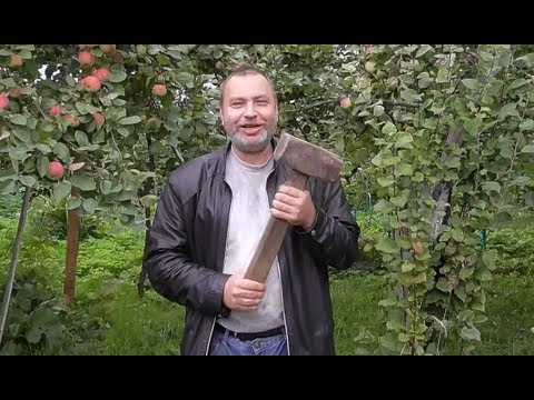 Видео: Тестирование и разбор блоков питания для ноутбуков из интернет магазинов, Как мне это развидеть