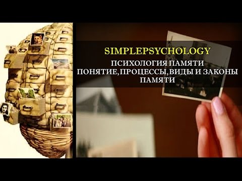 Видео: Психология памяти. Понятие, процессы, виды и законы памяти.