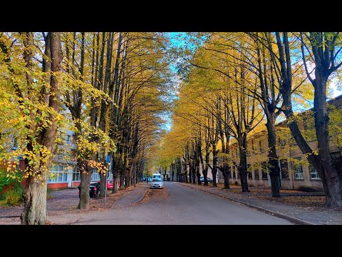 Видео: влог - закрываю гештальты, осенние покупки