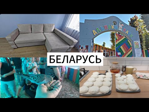 Видео: БЕЛАРУСЬ | СКОЛЬКО МНЕ СТОИЛО ПЕРЕТЯНУТЬ ДИВАН | ПОКУПКИ ДЛЯ ДОМА | АЛЬПАКА ПАРК В РАДОШКОВИЧАХ