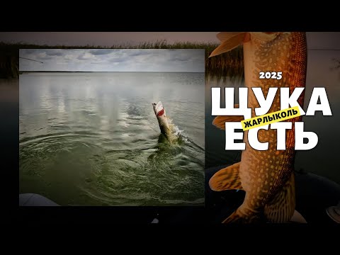 Видео: ЩУКА ЕСТЬ - Рыбалка с ночёвкой - Озеро Жарлыколь