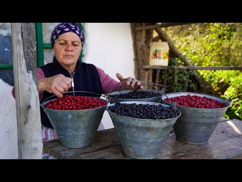 Видео: 🍇 Деревенская традиция: лучший способ приготовить сладости из лесных ягод