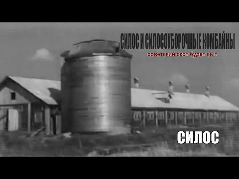 Видео: Силос и силосоуборочные комбайны. Ч.1. Борьба за стакан молока. Фильм серии История сельхозтехники.