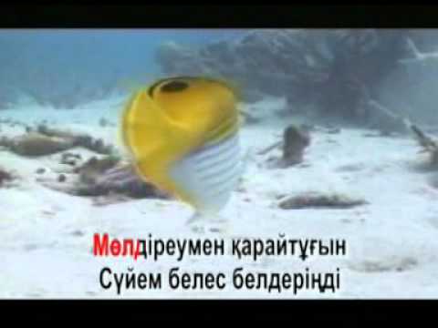 Видео: КАЗАКША КАРАОКЕ $5 Ауылым әнім