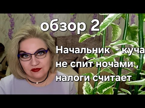 Видео: Начальник- куча не спит ночами, налоги считает❗️