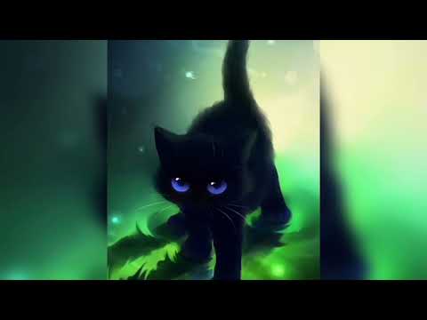 Видео: Я тебя ревную котик😼 Speed up - #1