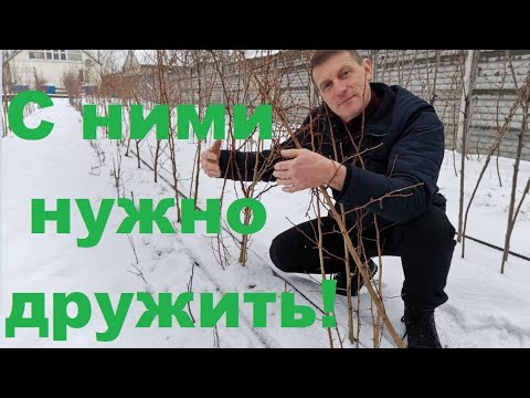 Видео: Вы должны это знать.