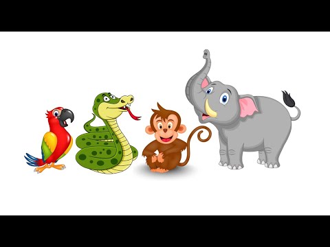 Видео: Математика. Подорож до Африки. Розв'язування задач.