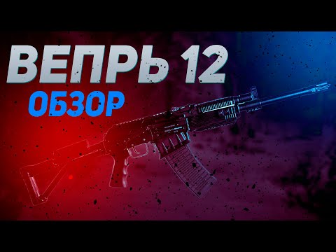 Видео: Обзор  ВЕПРЬ 12