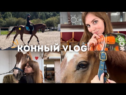 Видео: Конный Vlog #2 ✨ тренировка с рыжиком, конюшенная рутина и прогулка на катере 🌊