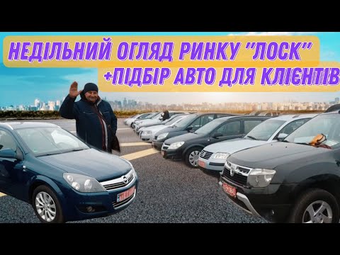 Видео: Огляд ринку "Лоск" 10.11. Підбір для задоволених клієнтів🚘🔥 #automobile #380506962082