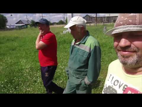 Видео: д.Коптело-Шамары.