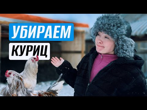 Видео: ОТКАЗЫВАЕМСЯ ОТ РАЗВЕДЕНИЯ КУРИЦ. НОВОСТИ НЕДЕЛИ. УПРАВА ВМЕСТЕ