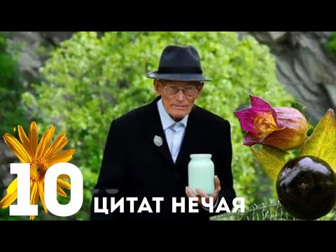 Видео: 10 Цитат мольфара Михайла Нечая.