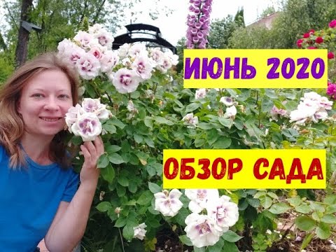 Видео: Сад для души в июне! Обзор сада: чудесная прогулка!