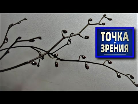 Видео: ПРАВДА ОБ ОРХИДЕЯХ 👍! ПОСМОТРИ, ПОСЛУШАЙ И НЕ ДЕЛАЙ ТАК, ЕСЛИ НЕ... ФАЛЕНОПСИС ШИЛЛЕРА (ШИЛЛЕРИАНА)👍