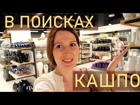 Видео: В поисках кашпо! Показываю ассортимент магазинов