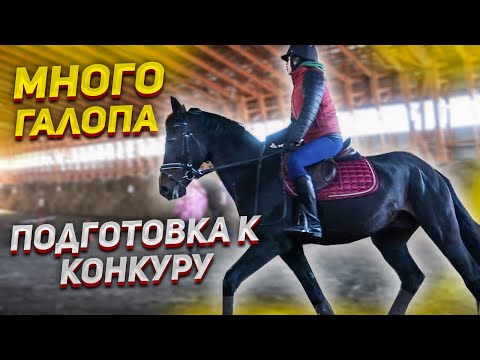 Видео: ВЕРХОМ в СКОЛЬЗКИХ лосинах | Тренировка ГАЛОП по КАВАЛЕТТИ