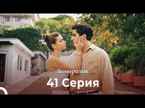 Видео: Зимородок 41 Cерия (Русский дубляж) (4K)