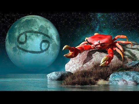 Видео: Гороскоп совместимости - Рак
