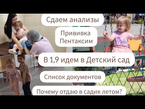 Видео: В 1,9 ИДЕМ В ДЕТСКИЙ САД/СПИСОК ДОКУМЕНТОВ/СДАЕМ АНАЛИЗЫ/ ПРИВИВКА ПЕНТАКСИМ/ПОЧЕМУ В САДИК ЛЕТОМ?