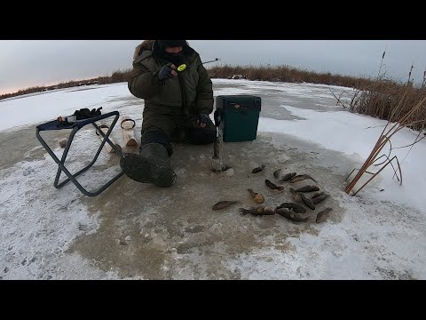 Видео: Ротан Жгёт/Удочка Трещала/Первая Поклёвка/Рыбалка на Ротана