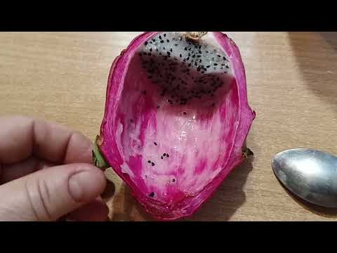Видео: 498.🗑☝Находки с мусорки. Питахайя и Мишкин суп😂