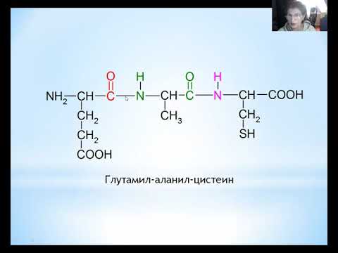 Видео: Белки