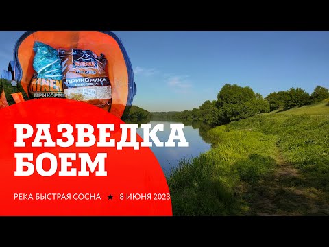 Видео: Рыбалка на реке Быстрая Сосна. Разведка старых мест