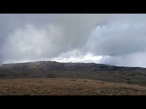 Видео: 28 октября 2025 г.