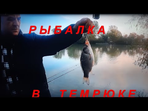 Видео: Рыбалка в Темрюке  Основные моменты