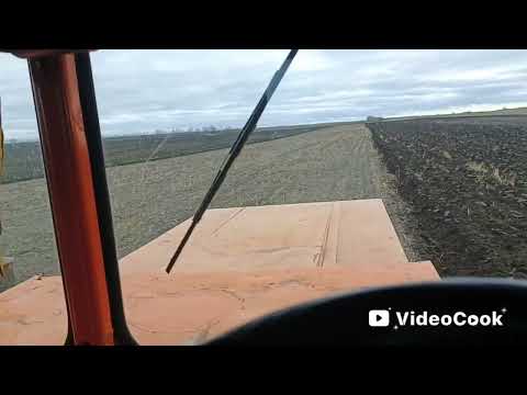 Видео: 7 ноября 2025 г.