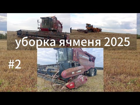 Видео: Уборка у двух хозяйств опять сломался полессе GS12 