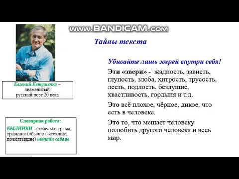 Видео: "Твой шаг в природу" - урок русского языка и литературы в 6 классе