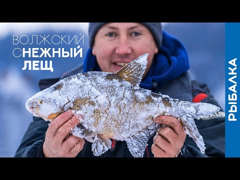 Видео: Ловля ЛЕЩА зимой на РЕКЕ! Морозная РЫБАЛКА на ФИДЕР!