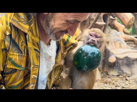 Видео: Люська и Степка СКУЧАЮТ ПО МАМЕ, но от лакомств не отказываются!