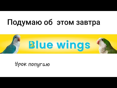 Видео: НЕ БУДУ ДУМАТЬ ОБ ЭТОМ СЕЙЧАС! УРОК ДЛЯ ПОПУГАЯ. УЧИМ ПОПУГАЯ ГОВОРИТЬ.