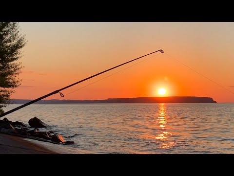 Видео: ОНИ ГНУТ КИВКИ… Ловля тарани на закате!