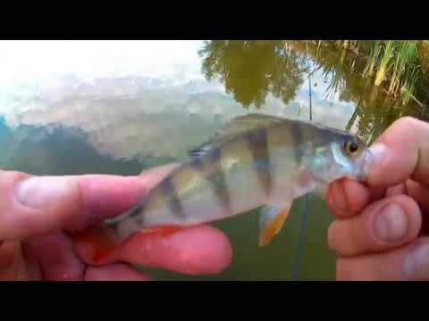 Видео: 2 обзорчик палочки  FARIO NT "MORM" FNTM602XUL-S 0.5-2 г