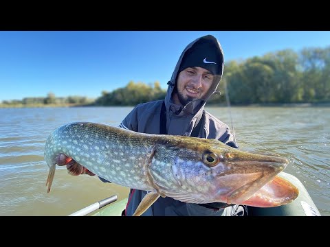 Видео: Щука с лодки на реке Казанка