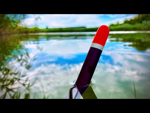 Видео: ЗЕРКАЛЬНЫЕ ТОРПЕДЫ ПРУТ НА ПОПЛАВОК!!!