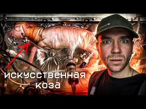 Видео: Что Мы Натворили? | Сингулярность Человечества | РазМИШления.