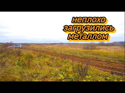 Видео: РЕШЁТКИ С ФЕРМ, РЕЛЬСЫ, ПОИЛКИ! ОТЛИЧНО ЗАГРУЗИЛИСЬ МЕТАЛЛОМ! МЕТАЛЛОКОП ОСЕНЬ 2024