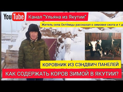 Видео: Коровник из сэндвич панелей у якутского фермера