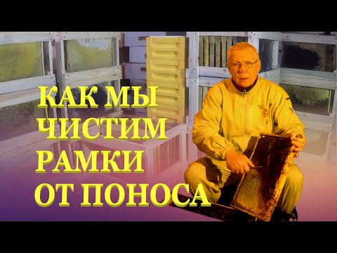Видео: Как ОЧИСТИТЬ РАМКИ от поноса? Как очистить рамки от Плесени?