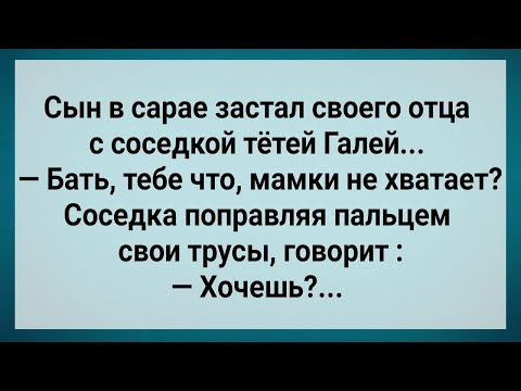 Видео: Сын в Сарае Застал Отца с Наглой Соседкой! Сборник Свежих Анекдотов! Юмор!