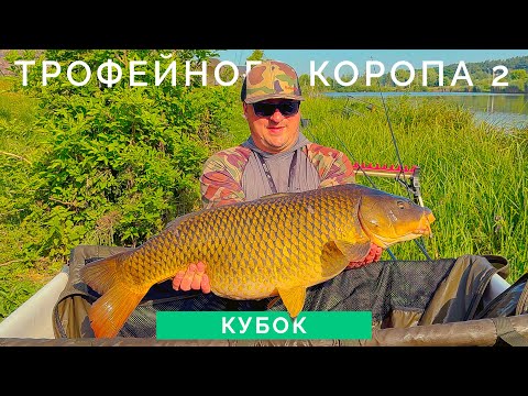 Видео: Кубок Трофейного Коропа  2 - "10 Big Fish" + РОЗІГРАШ